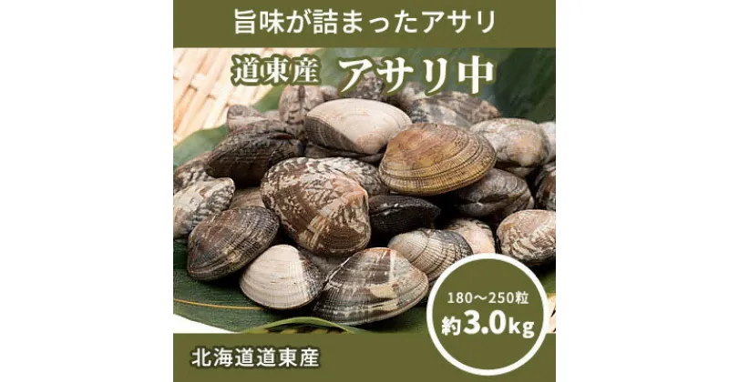 【ふるさと納税】北海道道東産アサリ中(冷凍)　約3kg(180～250粒)【配送不可地域：離島】【1233944】