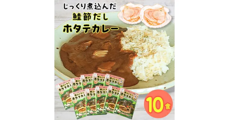 【ふるさと納税】鮭ぶしだしホタテカレー2　10食セット【1271087】