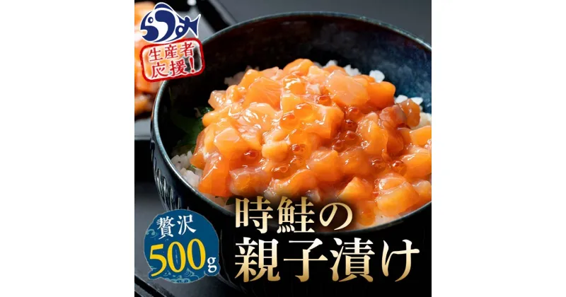 【ふるさと納税】【選べる配送月】知床羅臼産 時鮭（ときしらず）の親子漬け 500g（250g×2パック）小分け いくら イクラ 醤油漬け さけ サケ シャケ しゃけ 海鮮 魚介 魚卵 おつまみ 手巻き寿司 丼 北海道 F21M-961