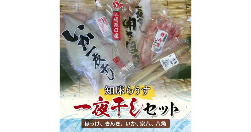 【ふるさと納税】知床らうす 一夜干しセット 魚 北海道 海産物 魚介 魚介類 ほっけ ホッケ キンキ きんき めんめ いか 宗八カレイ 八角 干物 魚 肴 ご飯のお供 おかず 羅臼町 北海道 生産者 支援 応援