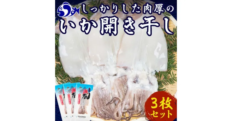 【ふるさと納税】大人気！北海道知床羅臼産いかの開き干し(3枚セット) イカ 海産物 北海道 魚介類 冷凍 国産 生産者 支援 応援