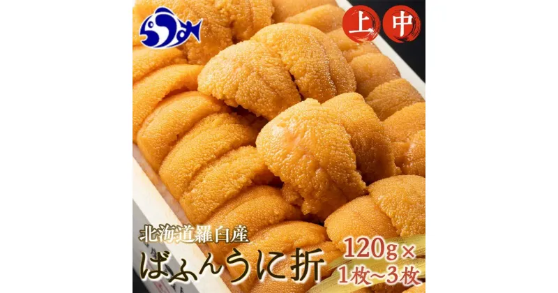 【ふるさと納税】容量と等級が選べる 羅臼産 折うに 上 中 100g×1枚 2枚 3枚 ふるさと納税 うに 北海道産 知床 ミョウバン不使用 天然 エゾバフンウニ ウニ 雲丹 刺身 海鮮丼 海産物 魚介類 冷蔵