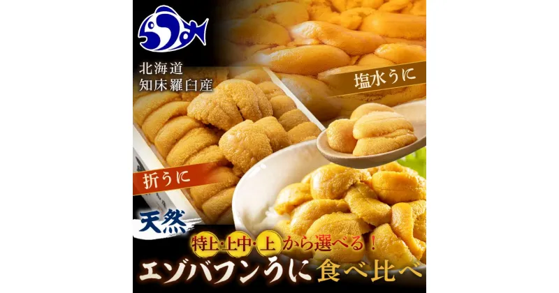 【ふるさと納税】等級が選べる 天然 エゾバフンうに 食べ比べ2枚（折うに120g1枚・塩水うに100g1枚）北海道 知床 羅臼産 海産物 魚介 ウニ