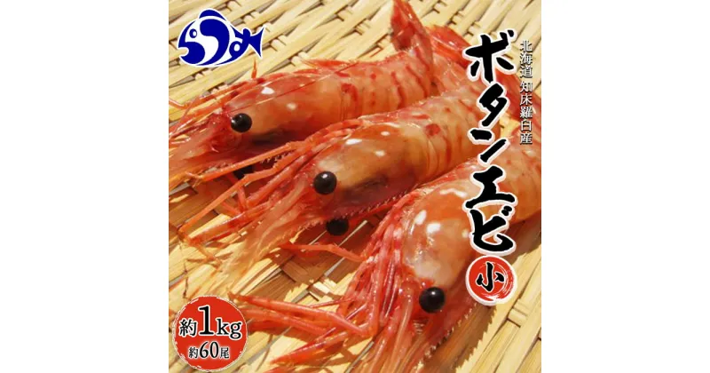 【ふるさと納税】知床羅臼ボタンエビ(小) 1kg えび 海老 羅臼町 北海道 魚介 海産物 刺身 海鮮丼 天ぷら 冷凍 生産者 支援 応援