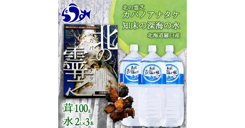 【ふるさと納税】知床深海の水と北の霊芝カバノアナタケ茶セット 海洋深層水 北海道 知床 羅臼 らうす 世界自然遺産 天然 ミネラル マグネシウム 国産 常備水 備蓄 硬水 清涼飲料水 幻 きのこ キノコ お茶 生産者 支援 応