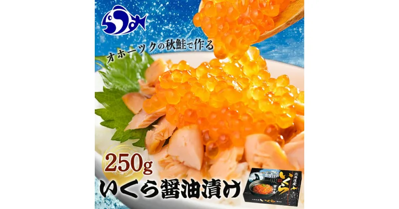 【ふるさと納税】いくら醤油250g 魚卵 秋鮭 イクラ 米 ご飯のお供 おかず 海鮮 羅臼町 北海道 生産者 支援 応援