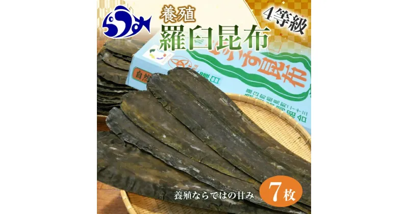 【ふるさと納税】養殖4等羅臼昆布7枚セット(350g~500g)北海道 知床 羅臼産 生産者 支援 応援