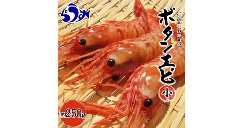 【ふるさと納税】知床羅臼ボタンエビ(小) 250g 生産者 支援 応援