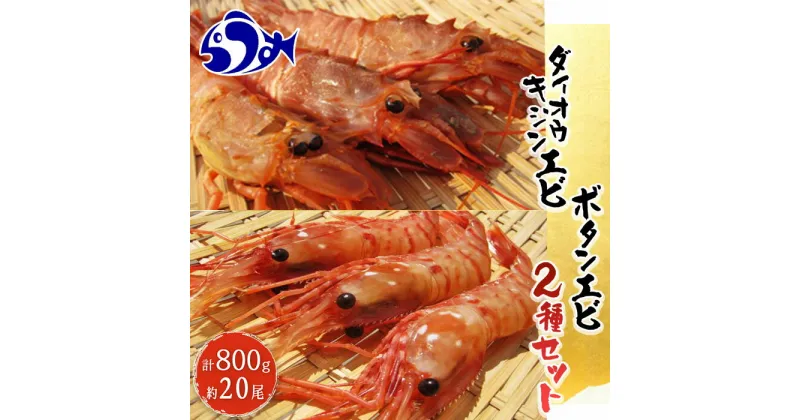 【ふるさと納税】ダイオウキジンエビ(ガサエビ)とボタンエビのセット えび エビ 海老 食べ比べ 魚介 魚介類 北海道 羅臼町 海産物 冷凍 刺身 フライ 生産者 支援 応援