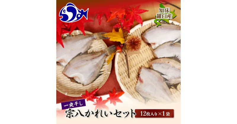 【ふるさと納税】知床羅臼産宗八かれいセット カレイ 鰈 一夜干し 干物 おかず ごはんのお供 お酒の肴 おつまみ アテ 魚 魚介 魚介類 海産物 海鮮 焼き魚 焼くだけ グリル 生産者 応援 支援