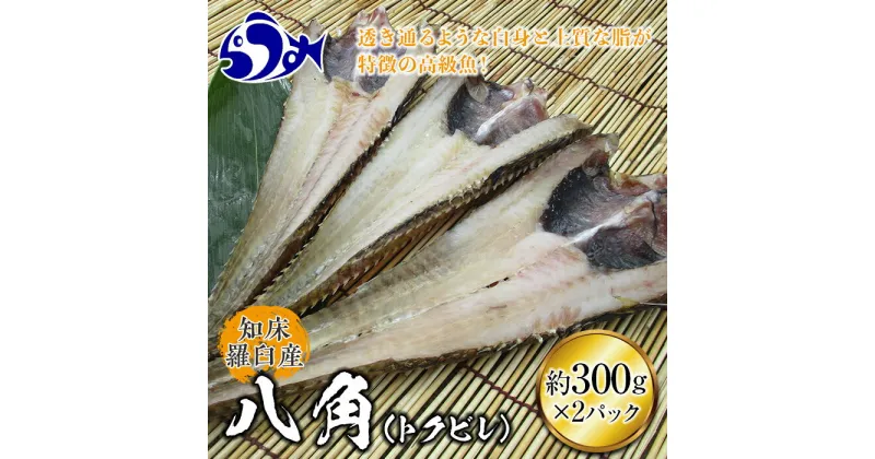 【ふるさと納税】知床羅臼産 八角(ハッカク)トクビレ 300g前後×2パック 生産者 支援 応援