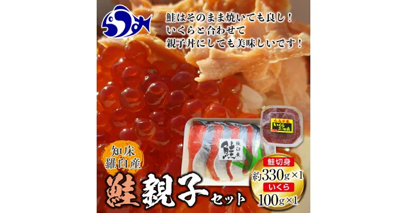 【ふるさと納税】知床羅臼産 鮭親子セット 鮭切身330g前後・醤油いくら100g 各1パック さけ サケ 鮭 切身 焼き魚 親子丼 イクラ 羅臼町 北海道 生産者 支援 応援