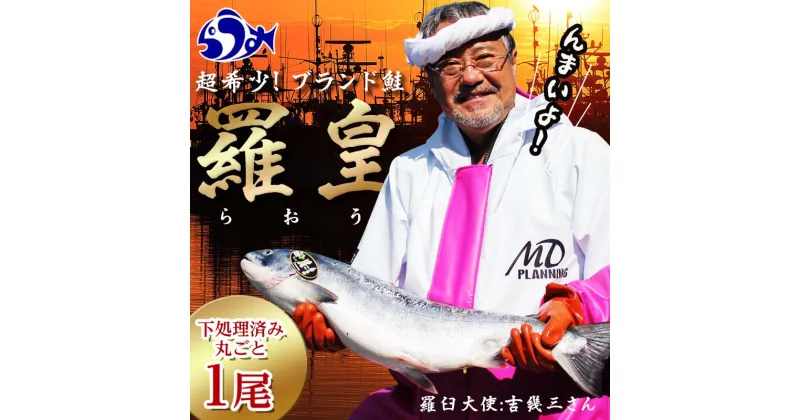 【ふるさと納税】知床羅臼産 鮭 羅皇（らおう）4～5kg 生産者 支援 応援