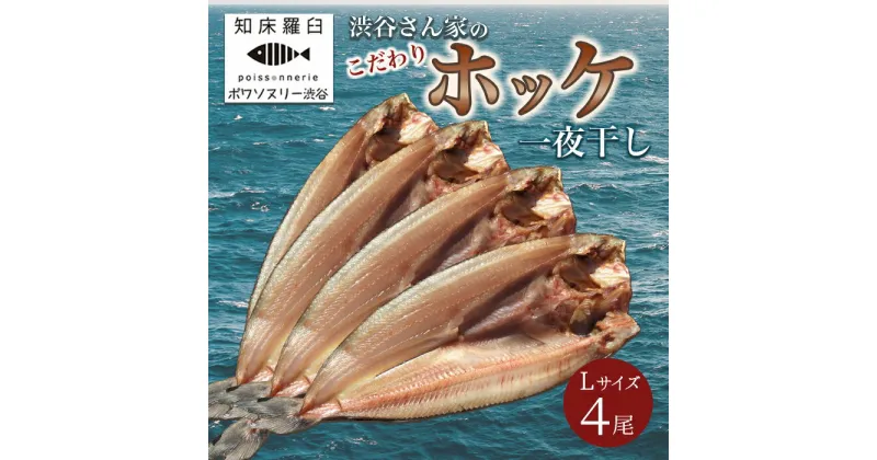 【ふるさと納税】北海道知床羅臼産 渋谷さん家のこだわりホッケ一夜干し Lサイズ4尾（Lサイズ:350g~399g×4パック） 魚 北海道 海産物 魚介類 魚介 干物 ほっけ 焼魚 おかず 生産者 支援 応援 F21M-615