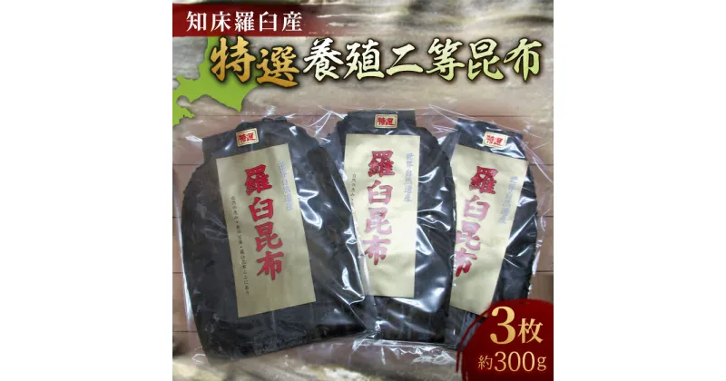 【ふるさと納税】羅臼昆布 養殖 2等 約300gセット(100g×3個) 北海道 知床 羅臼産 生産者 支援 応援