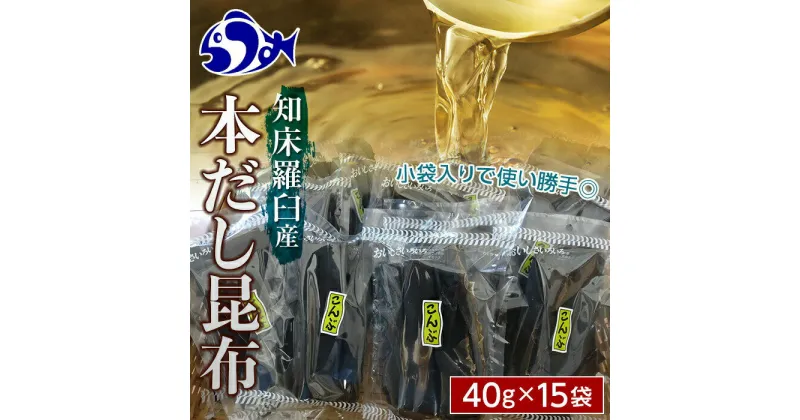 【ふるさと納税】羅臼昆布だし用小分け昆布15袋セット(40g×15袋)北海道　知床　羅臼産　生産者 支援 応援