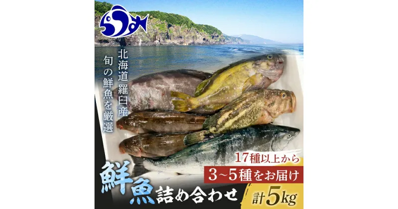 【ふるさと納税】知床羅臼産 鮮魚詰め合わせA　約5kg 魚 さかな 旬の魚 鮮魚 羅臼町 北海道 生産者 支援 応援