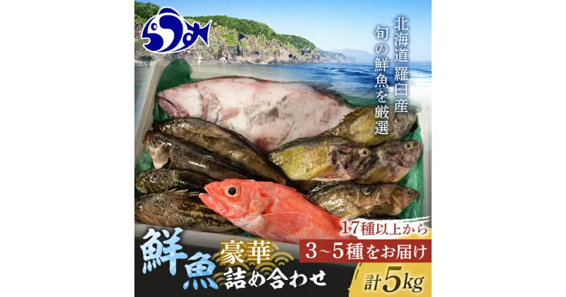 【ふるさと納税】知床羅臼産 鮮魚詰め合わせB　約5kg 魚 さかな 旬の魚 鮮魚 羅臼町 北海道 生産者 支援 応援