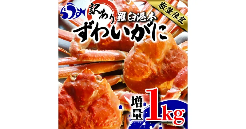 【ふるさと納税】羅臼港本ずわいがに 数量限定 増量1kg ズワイガニ かに カニ 蟹 羅臼町 北海道 魚介 生産者 支援 応援