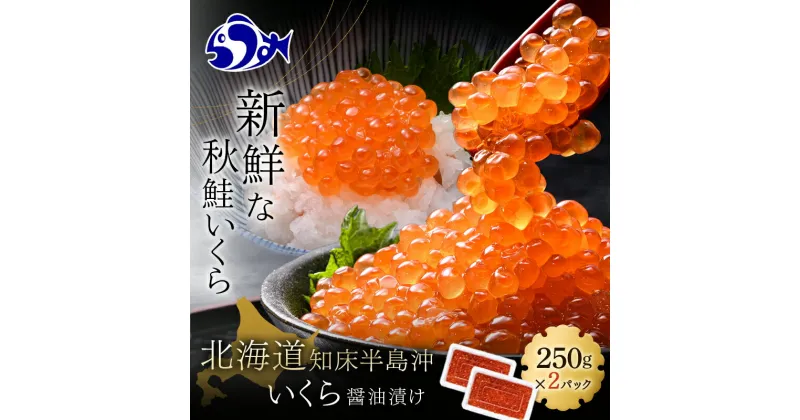 【ふるさと納税】いくら醤油漬け 500g（250g×2パック） イクラ 魚卵 いくら丼 海鮮丼 ご飯のお供 羅臼町 北海道 生産者 支援 応援