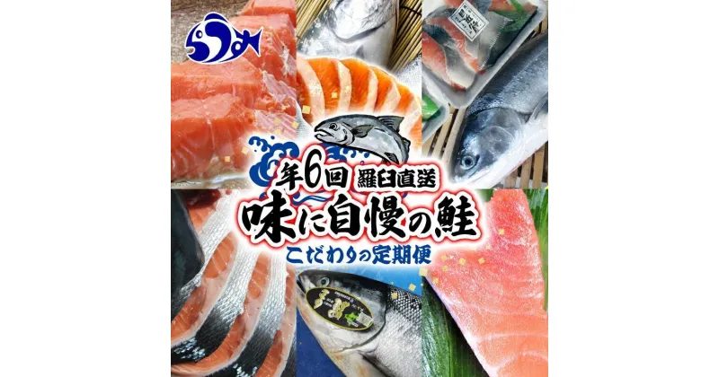 【ふるさと納税】年6回　羅臼直送　味に自慢の鮭（サーモン）こだわりの定期便 生産者 支援 応援