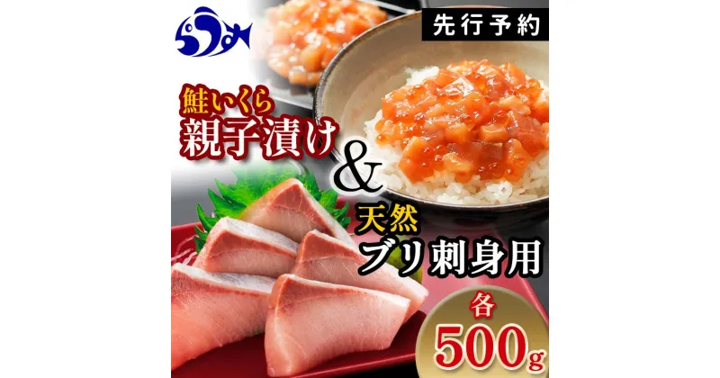 【ふるさと納税】【選べる配送月】【先行予約】親子漬け・ぶり刺身セット1kg（各250g×2）小分け いくら イクラ 秋鮭 さけ サケ 醤油漬け しょうゆ漬け ブリ 鰤 北海道 国産 羅臼 海鮮 魚介 ご飯のお供 生産者 支援 応援 F21M-957