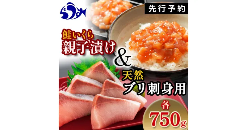 【ふるさと納税】【選べる配送月】【先行予約】親子漬け・ぶり刺身セット1.5kg（各250g×3）小分け いくら イクラ 秋鮭 さけ サケ 醤油漬け しょうゆ漬け ブリ 鰤 北海道 国産 羅臼 海鮮 魚介 ご飯のお供 生産者 支援 応援 F21M-958