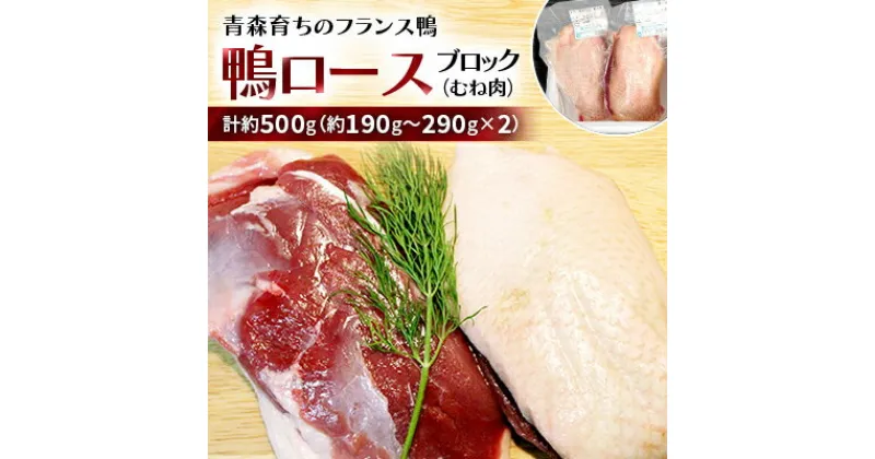 【ふるさと納税】鴨ロースブロック(むね肉)約500g_A2-89【配送不可地域：離島】【1106346】