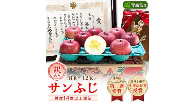 【ふるさと納税】りんご「サンふじ」糖度14度以上保証 約3kg 訳あり 家庭用【配送不可地域：離島】【1106865】