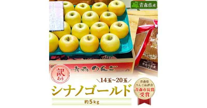 【ふるさと納税】【訳あり】 りんご シナノゴールド 家庭用 約5kg (14～20玉)青森市長賞受賞【配送不可地域：離島】【1106869】