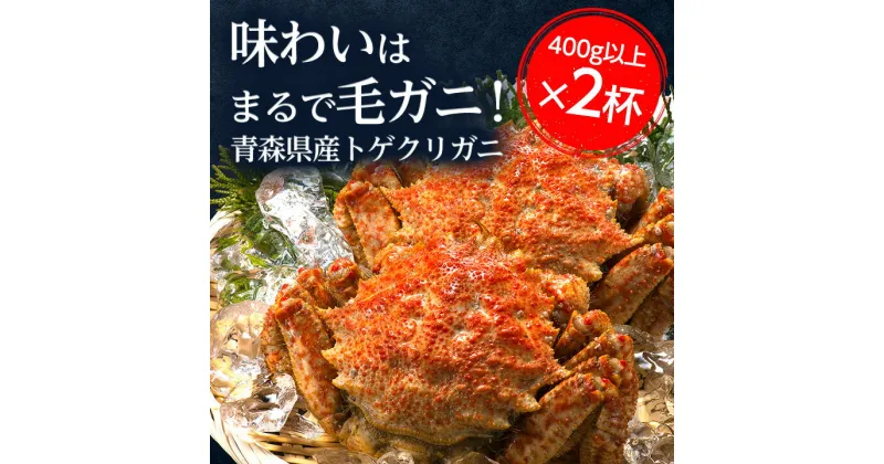 【ふるさと納税】【厳選逸品】青森産 丸勝水産のトゲクリガニ(400gUP×2杯)【配送不可地域：離島】【1142798】