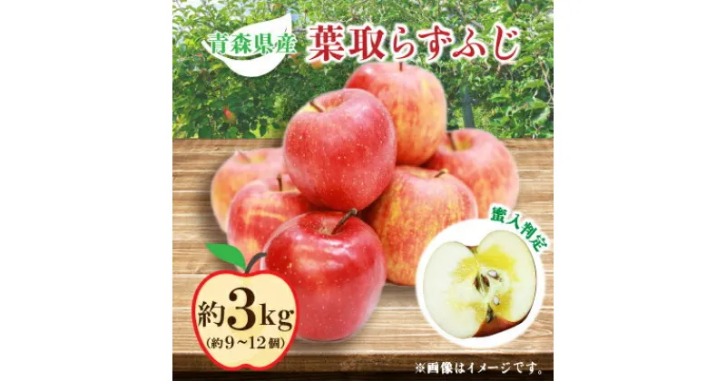 【ふるさと納税】りんご 葉取らずふじ 蜜入判定 3kg (約9～12個)【配送不可地域：離島】【1085335】