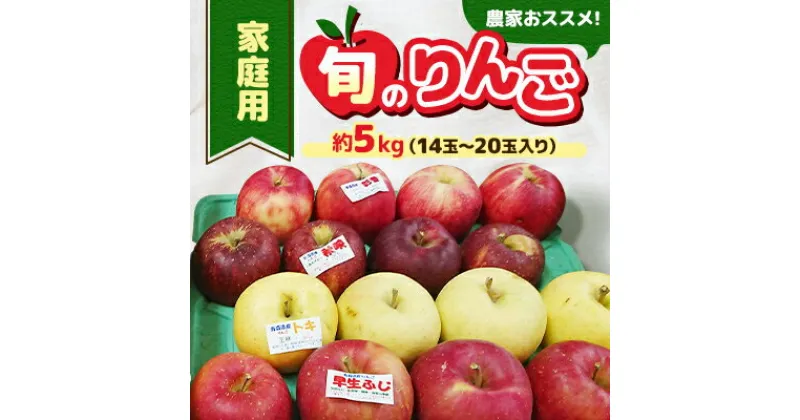 【ふるさと納税】家庭用【令和5年8月中旬～随時発送】農家おススメ!旬のりんご約5kg(14玉～20玉入り)【配送不可地域：離島】【1222616】