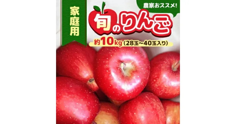 【ふるさと納税】家庭用【令和5年8月中旬～随時発送】農家おススメ!旬のりんご約10kg(28玉～40玉入り)【配送不可地域：離島】【1222631】