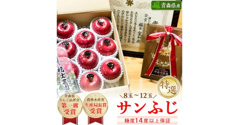 【ふるさと納税】りんご 「サンふじ」 糖度14度以上保証 約3kg (8～12玉) 青森市長賞受賞【配送不可地域：離島】【1085322】