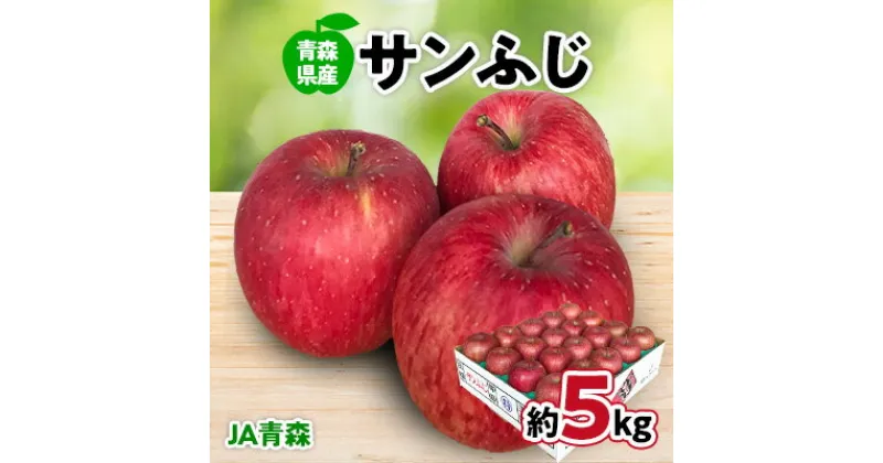 【ふるさと納税】JA青森　青森県産りんご「サンふじ」約5kg【配送不可地域：離島】【1127895】