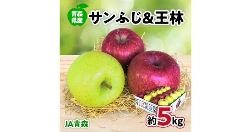 【ふるさと納税】JA青森　青森県産りんご「サンふじ&王林詰合せ」約5kg【配送不可地域：離島】【1127896】