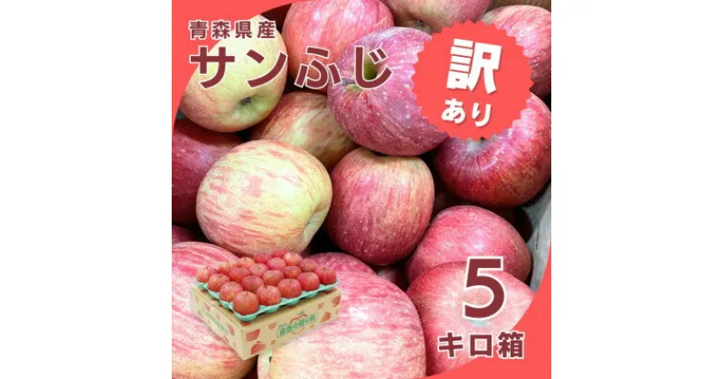 【ふるさと納税】【令和7年1月下旬頃発送】産地直送 青森県産 訳ありサンふじ 5キロ箱 10～23玉 青森県産りんご【配送不可地域：離島・沖縄県】【1288123】