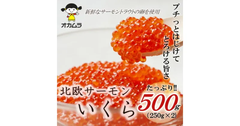 【ふるさと納税】オカムラ食品工業の北欧サーモンいくら 500g(250g×2)【配送不可地域：離島】【1315624】