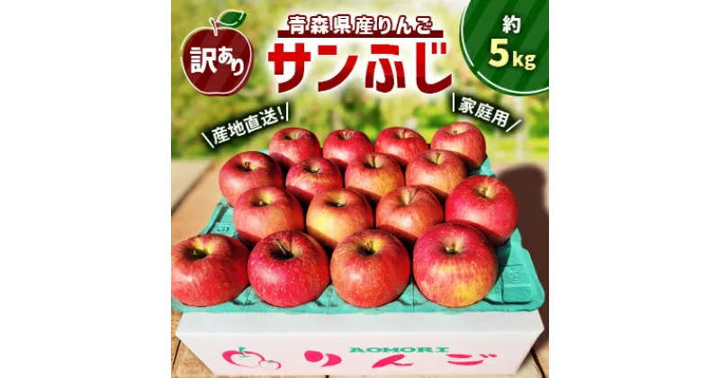 【ふるさと納税】【訳あり】青森県産りんご「サンふじ家庭用」約5kg　産地直送!【配送不可地域：離島】【1321109】