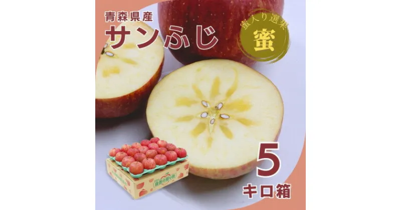 【ふるさと納税】糖度光センサー選果 蜜入りサンふじ5キロ箱10～23玉【11月下旬より発送】産地直送 青森県産りんご【配送不可地域：離島】【1326600】