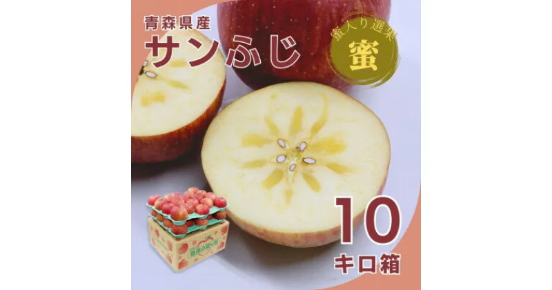 【ふるさと納税】糖度光センサー選果 蜜入りサンふじ10キロ箱 26～46玉【11月下旬より発送】産地直送 青森県産【配送不可地域：離島】【1326602】