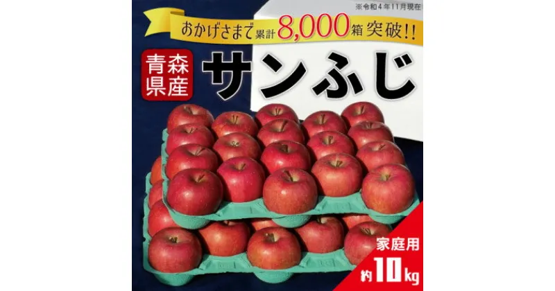 【ふるさと納税】りんご サンふじ 家庭用 約10kg【配送不可地域：離島・沖縄県】【1331514】