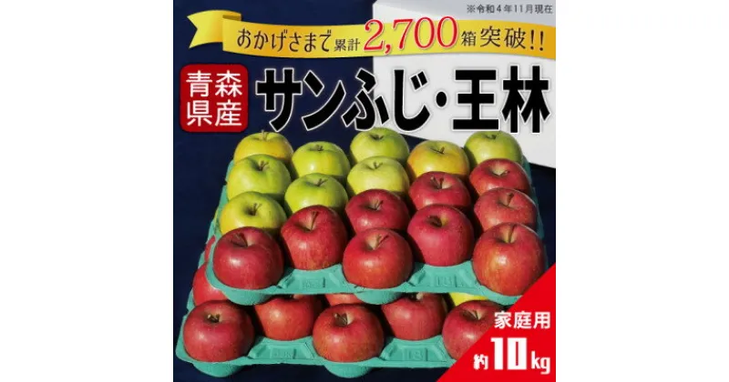 【ふるさと納税】りんご サンふじ&王林 家庭用 計10kg (各約5kg)【配送不可地域：離島・沖縄県】【1331518】