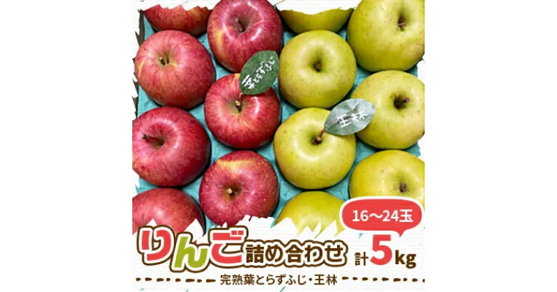 【ふるさと納税】【2024年先行予約】りんご 完熟葉とらずふじ・王林詰め合わせ 5kg (16～24玉)【配送不可地域：離島・沖縄県】【1365701】