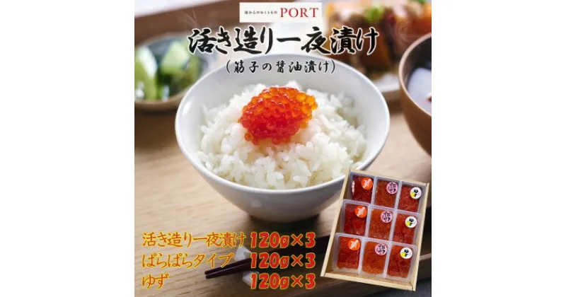 【ふるさと納税】一夜漬けのポート詰め合わせギフト「ひまわり」 120g×9パック【配送不可地域：離島】【1372227】