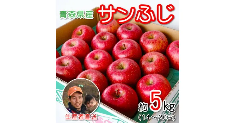 【ふるさと納税】青森県産 産地直送!家庭用 サンふじ 約5kg【配送不可地域：離島】【1387746】