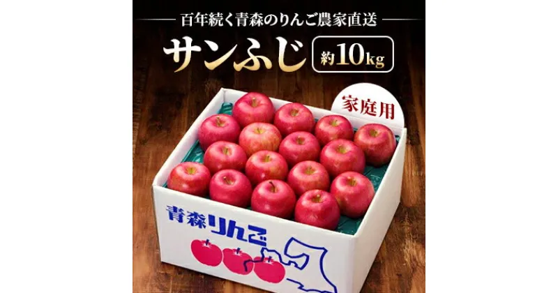 【ふるさと納税】【百年続く青森のりんご農家直送】サンふじ　約10kg　家庭用【12月から発送開始】【配送不可地域：離島】【1170122】