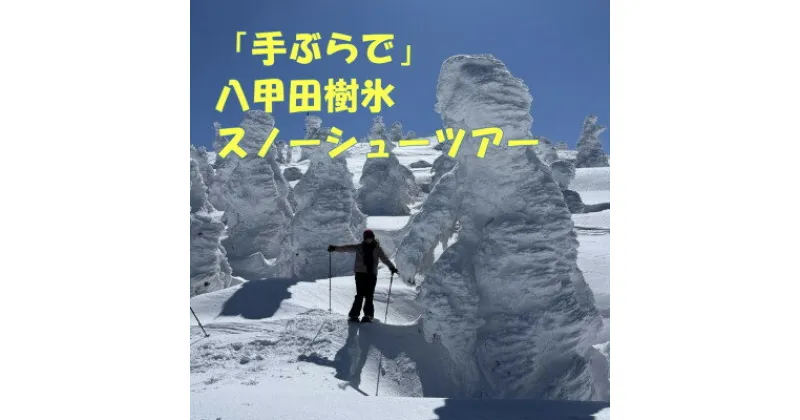 【ふるさと納税】「手ぶらで」八甲田樹氷スノーシューツアー1名様【体験時間:約2時間】【1523091】