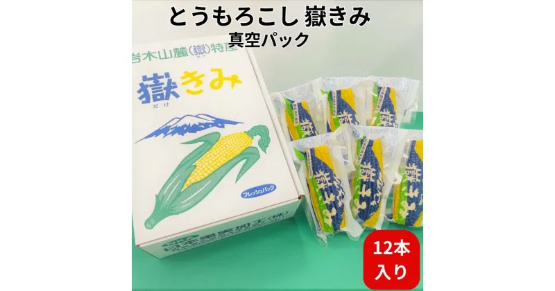 【ふるさと納税】嶽きみ真空パック家庭用　食べきりサイズ×12本　野菜・とうもろこし・加工食品・トウモロコシ